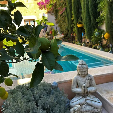 Boutique 2 Bedroom Garden Bed & Breakfast